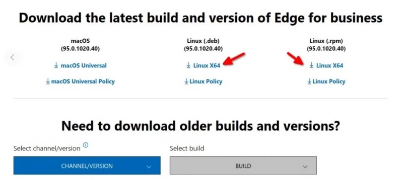 Как установить браузер Microsoft Edge в Ubuntu и других ОС Linux