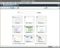Opera - интернет web-браузер