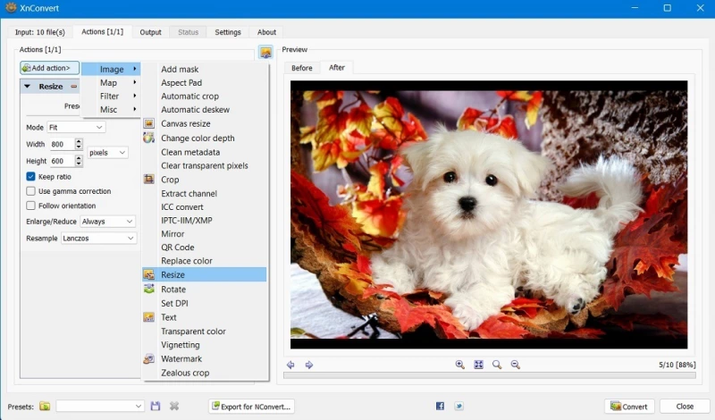 10 полезных инструментов для пакетного редактирования изображений в Windows